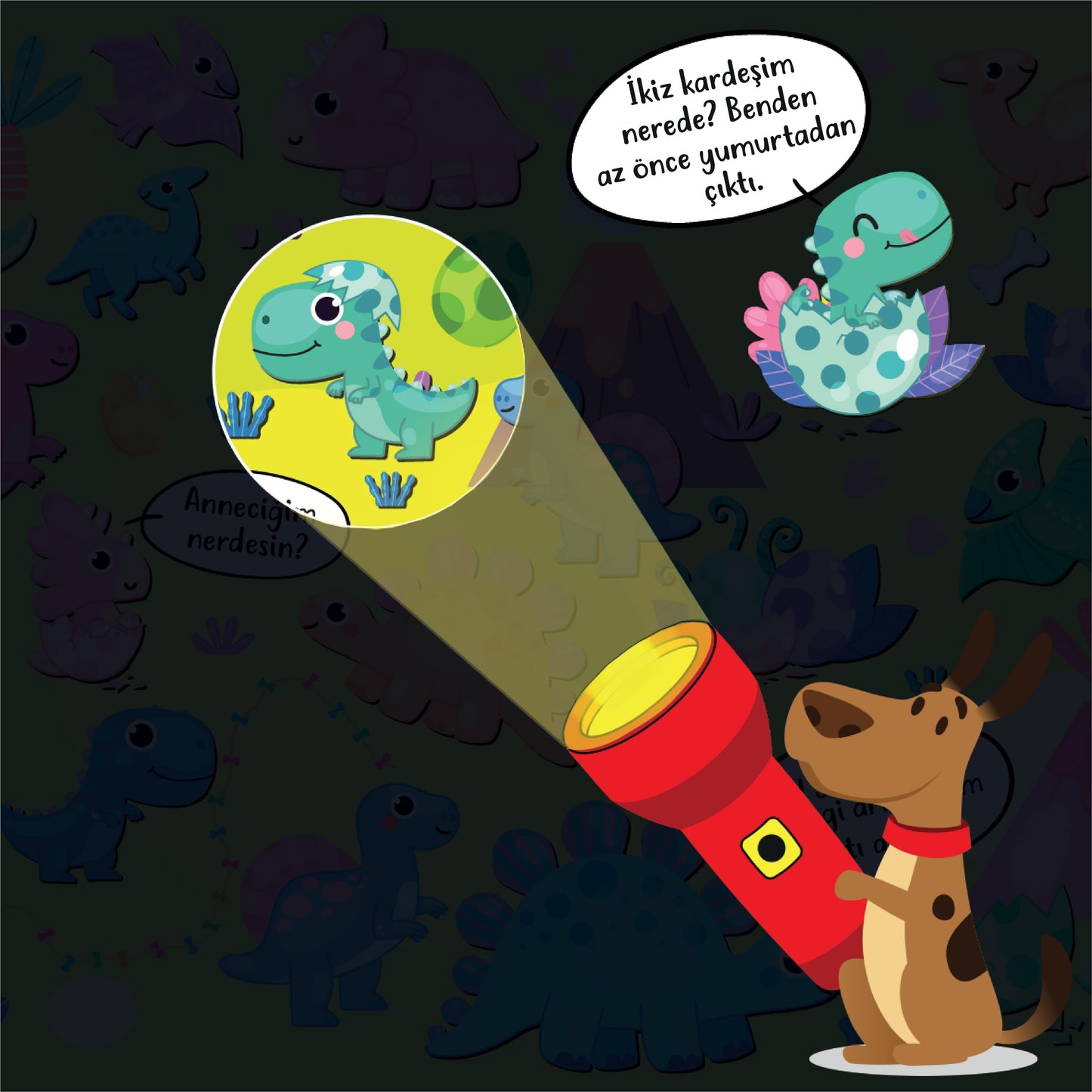 Fenerli Kitap Bul Bakalım